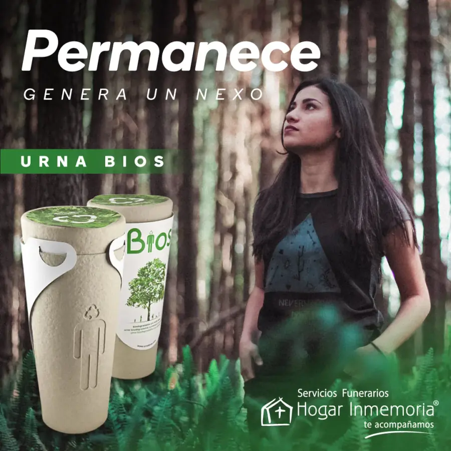 Funeraria In Memoria — pieza visual